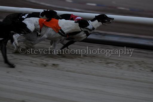 mayaction_177.jpg - (C)S.FARNDON