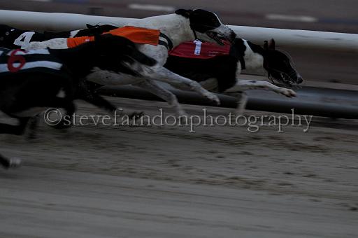 mayaction_178.jpg - (C)S.FARNDON