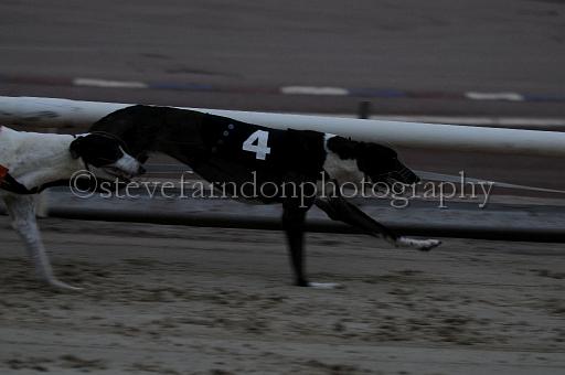 mayaction_183.jpg - (C)S.FARNDON