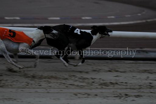 mayaction_184.jpg - (C)S.FARNDON