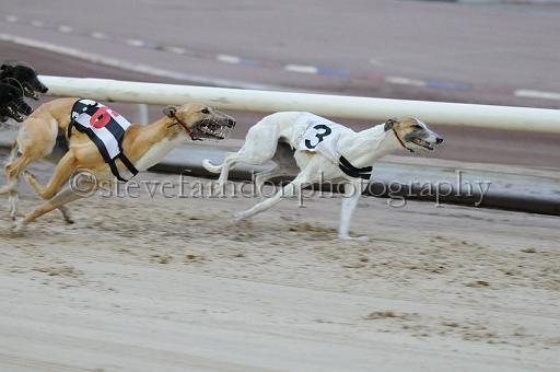 mayaction_190.jpg - (C)S.FARNDON