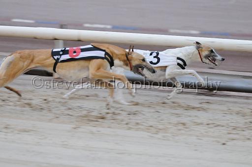 mayaction_191.jpg - (C)S.FARNDON
