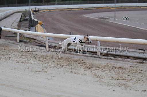 mayaction_193.jpg - (C)S.FARNDON