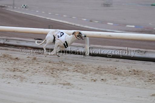 mayaction_194.jpg - (C)S.FARNDON