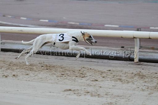 mayaction_195.jpg - (C)S.FARNDON