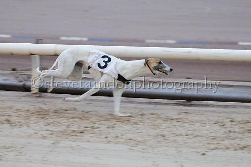 mayaction_196.jpg - (C)S.FARNDON