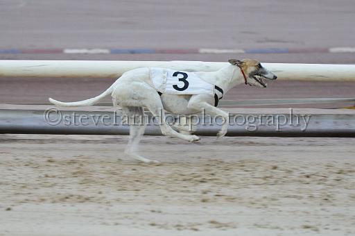 mayaction_197.jpg - (C)S.FARNDON