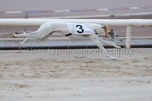 mayaction_198.jpg - (C)S.FARNDON