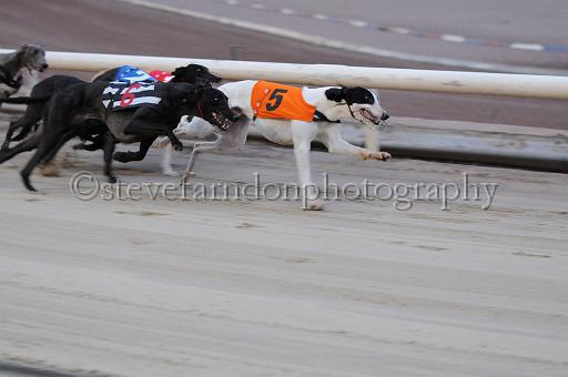 mayaction_201.jpg - (C)S.FARNDON