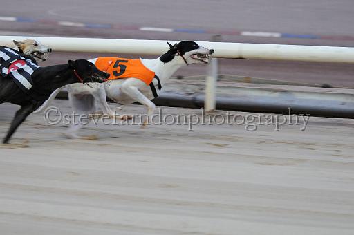 mayaction_202.jpg - (C)S.FARNDON