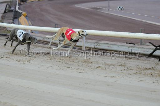 mayaction_204.jpg - (C)S.FARNDON