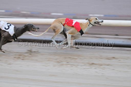 mayaction_207.jpg - (C)S.FARNDON