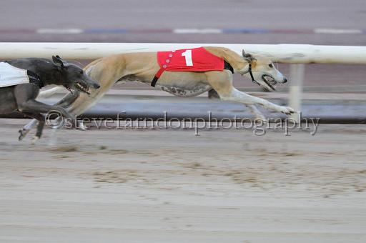 mayaction_208.jpg - (C)S.FARNDON