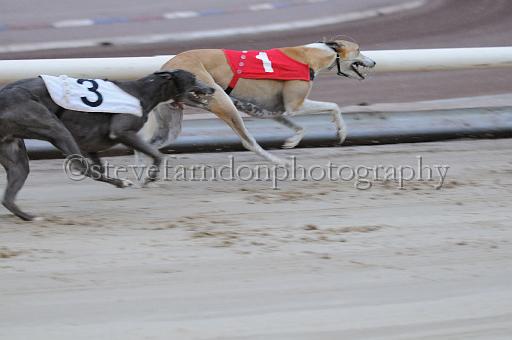 mayaction_210.jpg - (C)S.FARNDON