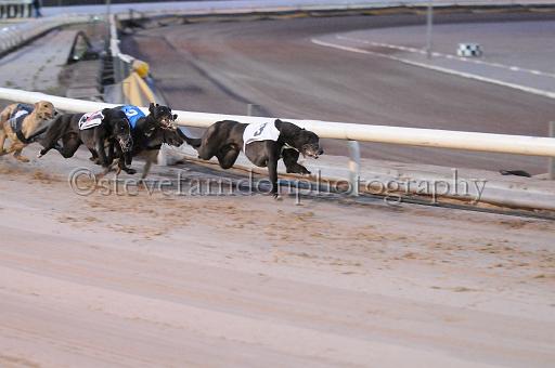 mayaction_212.jpg - (C)S.FARNDON