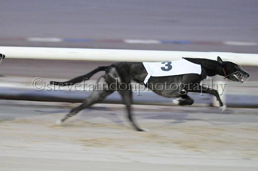 mayaction_214.jpg - (C)S.FARNDON