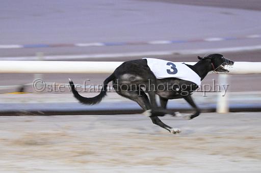 mayaction_220.jpg - (C)S.FARNDON