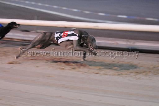 mayaction_223.jpg - (C)S.FARNDON