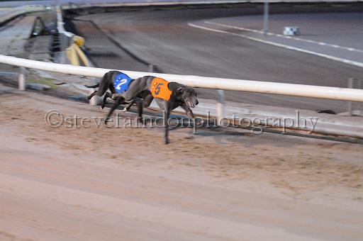 mayaction_224.jpg - (C)S.FARNDON