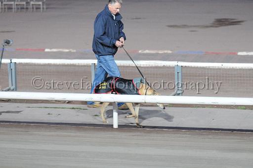 mayaction_227.jpg - (C)S.FARNDON