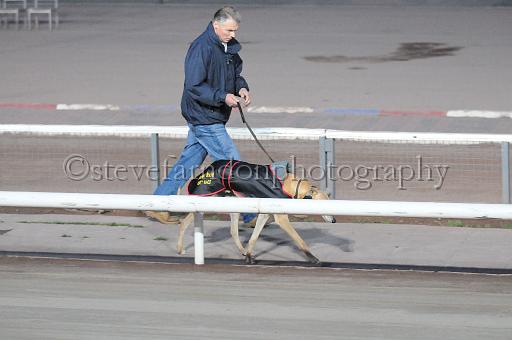 mayaction_228.jpg - (C)S.FARNDON