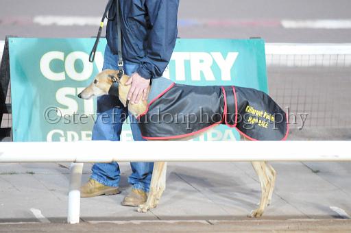 mayaction_235.jpg - (C)S.FARNDON