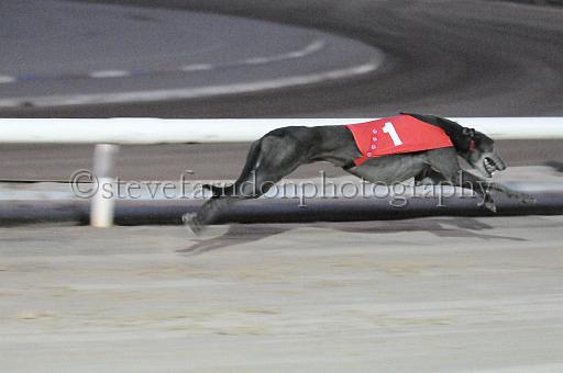mayaction_255.jpg - (C)S.FARNDON