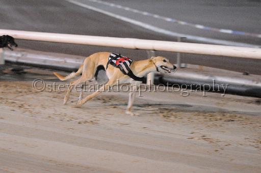 mayaction_258.jpg - (C)S.FARNDON