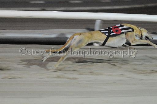 mayaction_261.jpg - (C)S.FARNDON