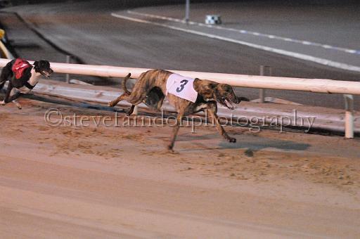 mayaction_286.jpg - (C)S.FARNDON