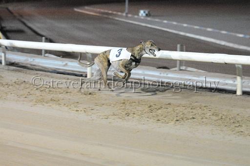 mayaction_291.jpg - (C)S.FARNDON