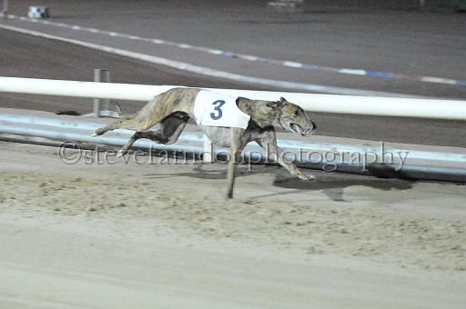 mayaction_292.jpg - (C)S.FARNDON