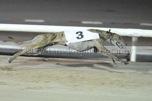 mayaction_294.jpg - (C)S.FARNDON
