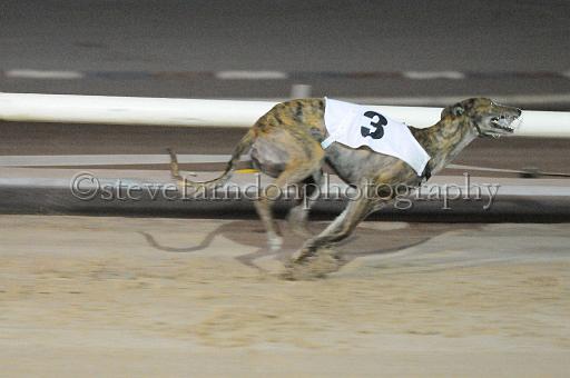 mayaction_295.jpg - (C)S.FARNDON