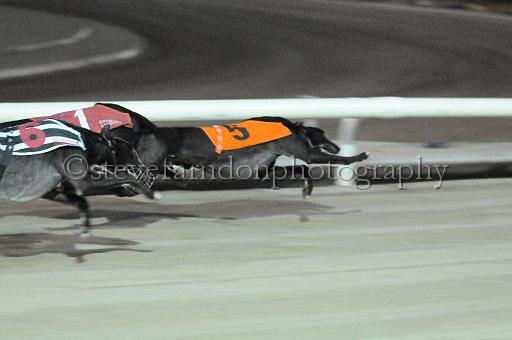 mayaction_307.jpg - (C)S.FARNDON