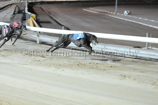 mayaction_308.jpg - (C)S.FARNDON
