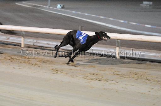 mayaction_309.jpg - (C)S.FARNDON