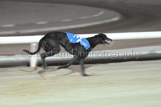 mayaction_312.jpg - (C)S.FARNDON