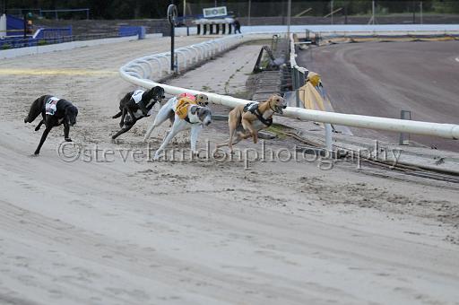 mayaction_313.jpg - (C)S.FARNDON