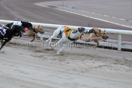 mayaction_315.jpg - (C)S.FARNDON