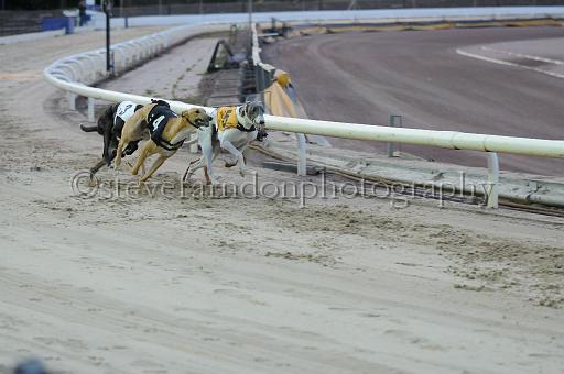 mayaction_320.jpg - (C)S.FARNDON