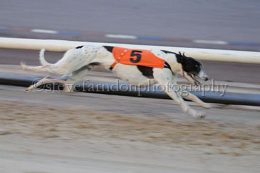 mayaction_333.jpg - (C)S.FARNDON