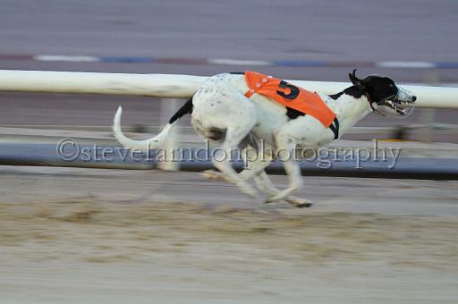 mayaction_334.jpg - (C)S.FARNDON
