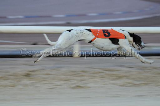 mayaction_335.jpg - (C)S.FARNDON