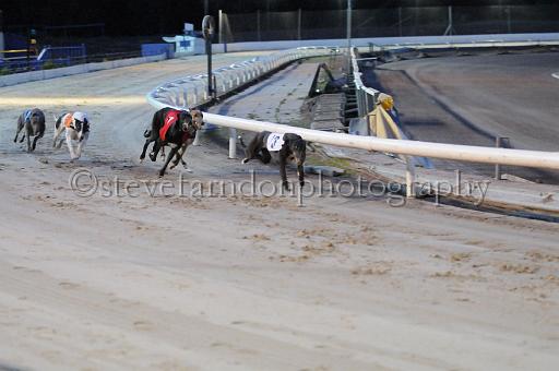 mayaction_339.jpg - (C)S.FARNDON