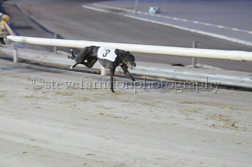 mayaction_341.jpg - (C)S.FARNDON