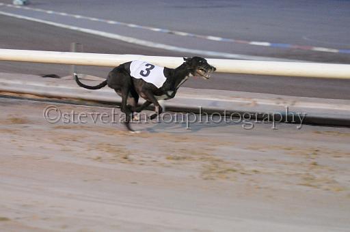 mayaction_342.jpg - (C)S.FARNDON