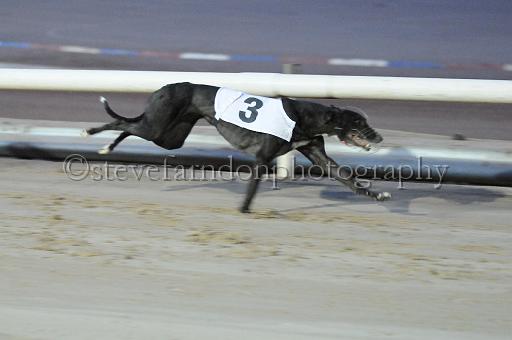 mayaction_343.jpg - (C)S.FARNDON