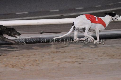 mayaction_355.jpg - (C)S.FARNDON