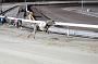 mayaction_285